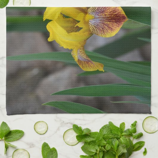 Iris Kitchtuch Handtuch (Gefaltet)