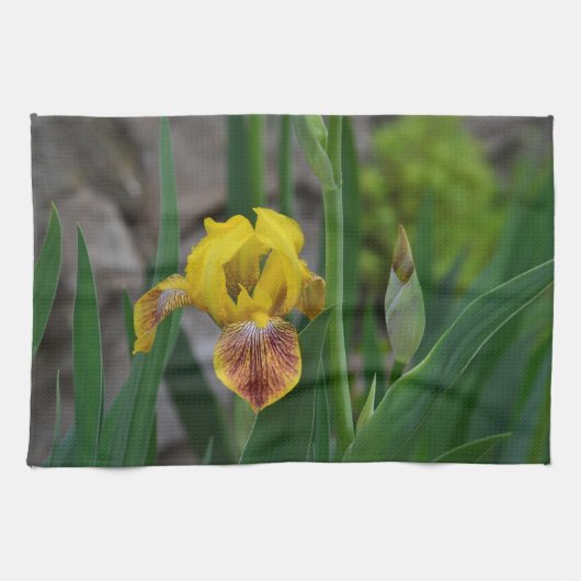 Iris Kitchtuch Handtuch (Horizontal)