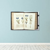 Iris Leinwanddruck (Insitu (Holzboden))