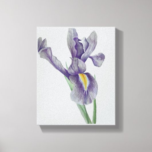 Iris Leinwanddruck gespannt (Vorderseite)