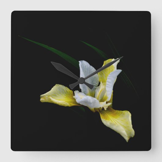 Iris light quadratische wanduhr (Vorderseite)