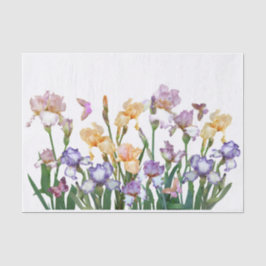 Iris Lila Butterfly Pink Seidenpapier