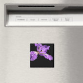 Iris Lila Magnet (In Situ (Geschirrspüler))
