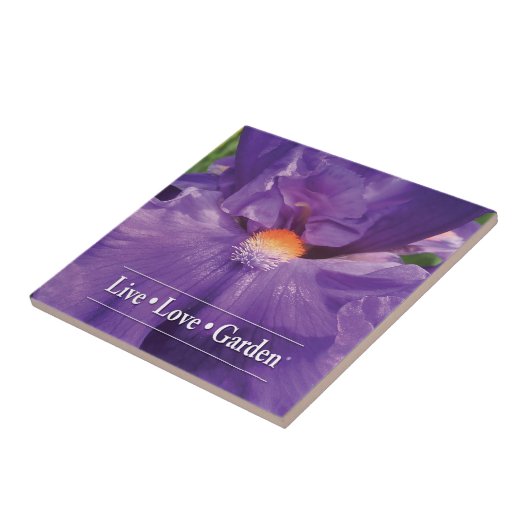 Iris Live Liebe Garden 4,25" Keramik Foto Tile Fliese (Seite)