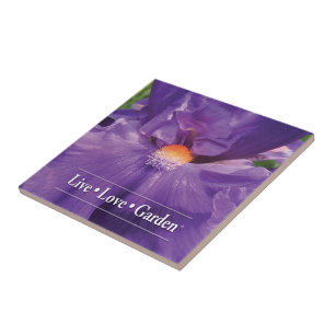Iris-LiveLiebe-Garten 4,25" Keramik-Foto-Fliese Fliese