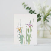 Iris Macrosiphon von William Dykes Postkarte (Stehend Vorderseite)