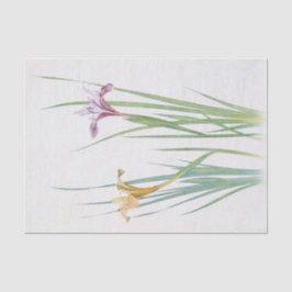 Iris Macrosiphon von William Dykes Seidenpapier