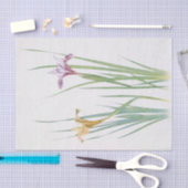 Iris Macrosiphon von William Dykes Seidenpapier (Handwerk)