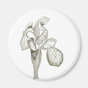 Iris Magnet