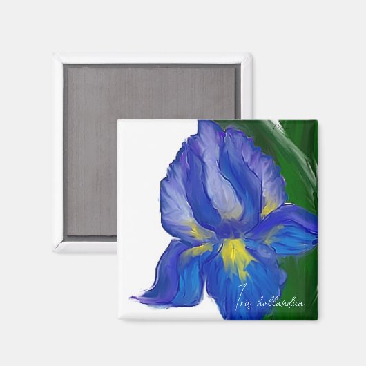 Iris Magnet (Vorderseite/Rückseite)
