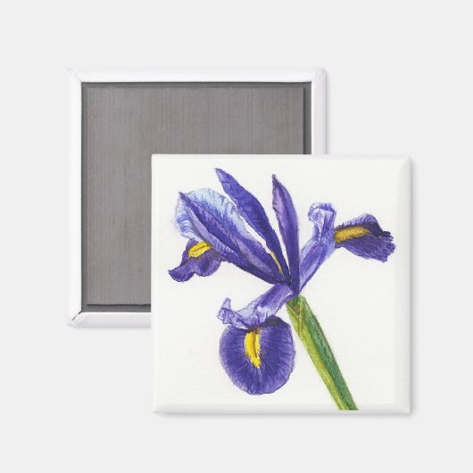 Iris Magnet (Vorderseite/Rückseite)