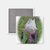Iris Magnet (Vorderseite/Rückseite)