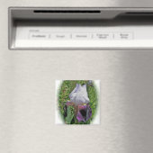 Iris Magnet (In Situ (Geschirrspüler))