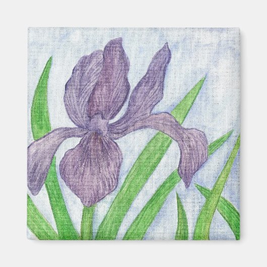 Iris Magnet (Vorne)