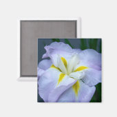 Iris Magnet (Vorderseite/Rückseite)