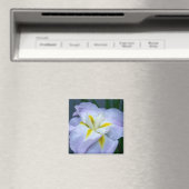 Iris Magnet (In Situ (Geschirrspüler))