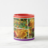 Iris "Michigan Pride" [Combo-Tassen] コ  ヒ  プ  グ Tasse (Zentrum)