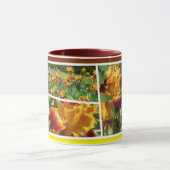 Iris "Michigan Pride" [Combo-Tassen] コ  ヒ  プ  グ Tasse (Zentrum)