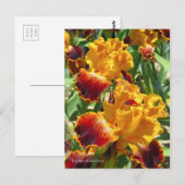Iris "Michigan Pride" Postkarte] ポ ス ト  ド Postkarte (Vorne/Hinten)