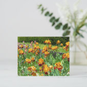 Iris "Michigan Pride" Postkarte] ポ ス ト  ド Postkarte (Stehend Vorderseite)