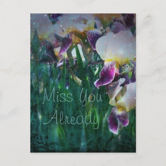 Iris Miss You Bereits Postcard Postkarte (Vorderseite)
