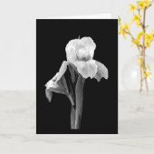 'Iris mit Regentropfen' leere Grußkarte Karte (Gelbe Blume)