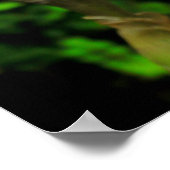 Iris mit Taube Poster (Ecke)