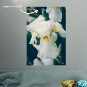 Iris mit Wassertröpfchen Poster