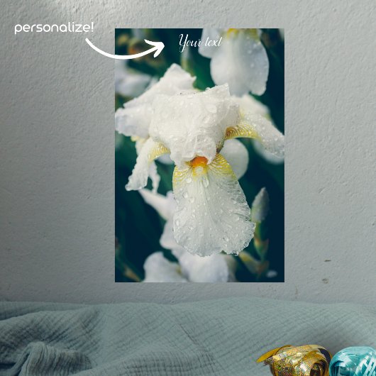 Iris mit Wassertröpfchen Poster