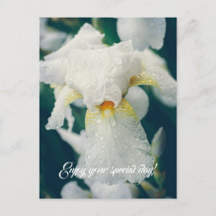 Iris mit Wassertröpfchen Postkarte