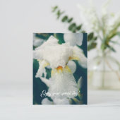 Iris mit Wassertröpfchen Postkarte (Stehend Vorderseite)
