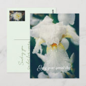 Iris mit Wassertröpfchen Postkarte (Vorne/Hinten)
