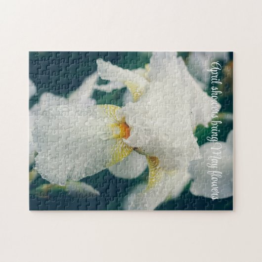 Iris mit Wassertröpfchen Puzzle (Horizontal)