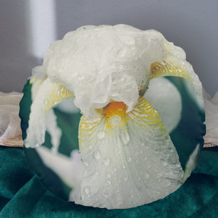Iris mit Wassertröpfchen Rundes Kissen