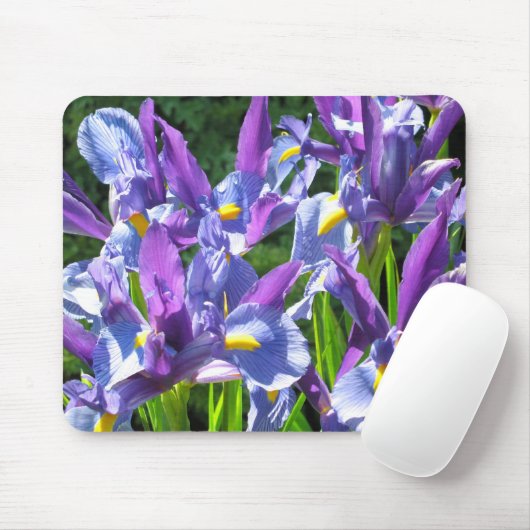 Iris Mousepad (Mit Mouse)