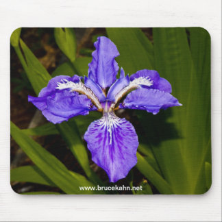 Iris Mousepad