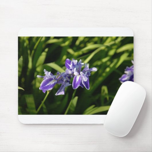 Iris Mousepad (Mit Mouse)