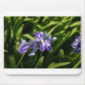 Iris Mousepad (Vorne)
