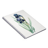 Iris-Notebook Notizblock (Rechte Seite)