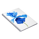 Iris Notizblock (Rechte Seite)