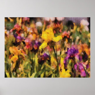 Iris - Orchester Poster