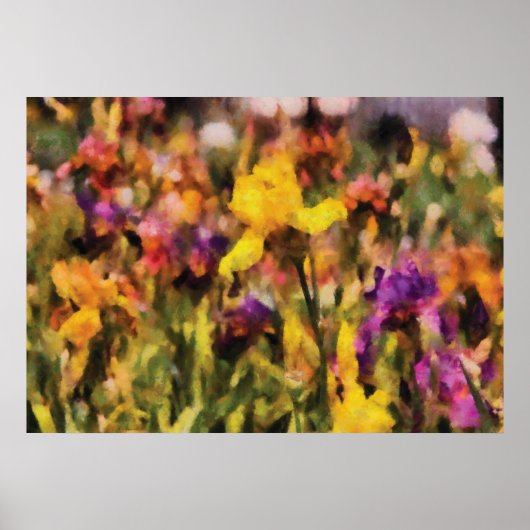 Iris - Orchester Poster (Vorne)
