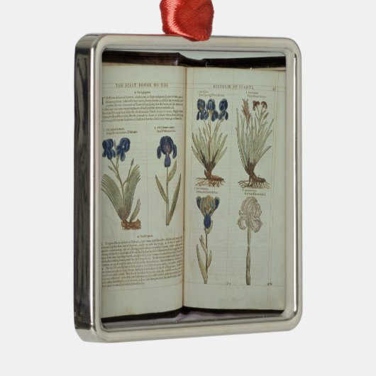 Iris Ornament Aus Metall (Rechts)