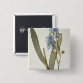 Iris Pallida, von "Les Liliacees", 1812 Button (Vorne & Hinten)