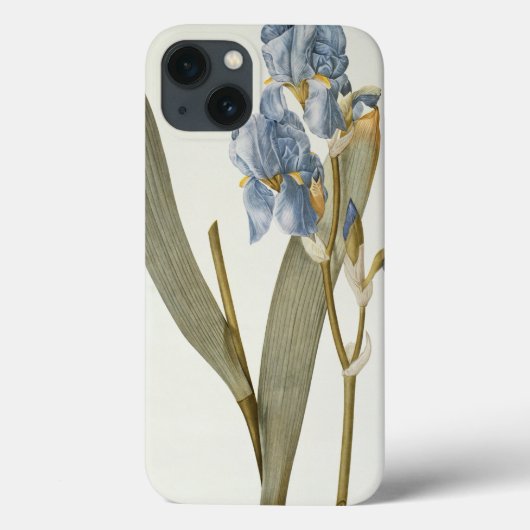 Iris Pallida, von `Les Liliacees', 1812 Case-Mate iPhone Hülle (Rückseite)
