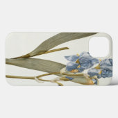 Iris Pallida, von `Les Liliacees', 1812 Case-Mate iPhone Hülle (Rückseite (Horizontal))
