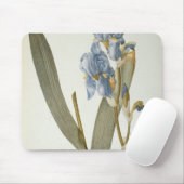 Iris Pallida, von "Les Liliacees", 1812 Mousepad (Mit Mouse)