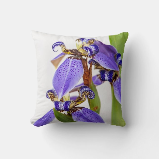 Iris Pillow Kissen (Vorderseite)