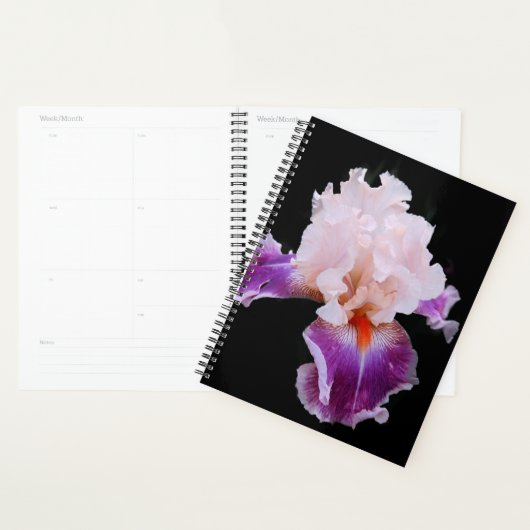 Iris Planer (Anzeige)