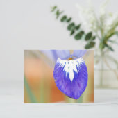 Iris Postcard Feiertagspostkarte (Stehend Vorderseite)